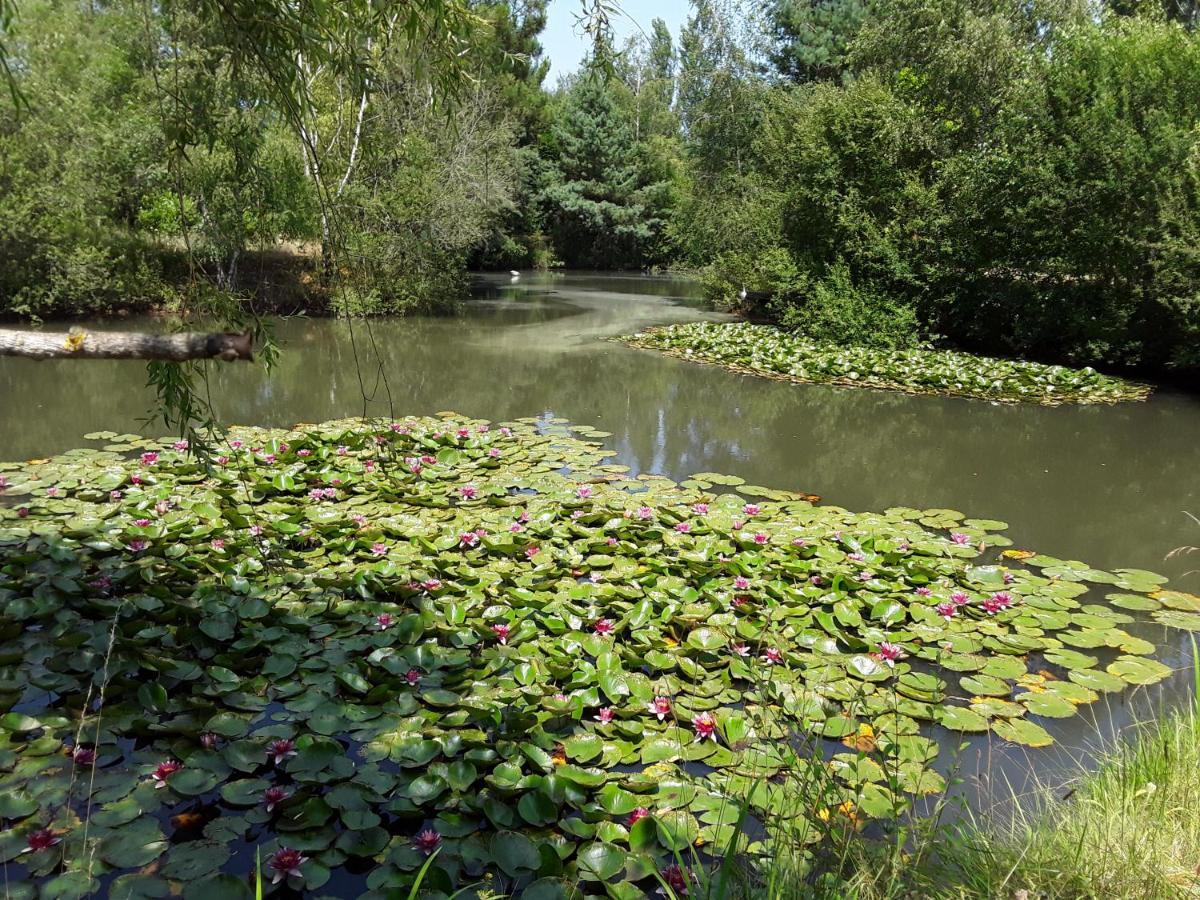 Cottage La Halouere Saint-Philbert-du-Peuple Εξωτερικό φωτογραφία